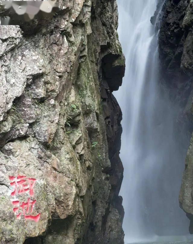 白酒股逆市走强，水井坊涨近4%！龙头酒企动销效果良好，食品ETF（515710）盘中涨近2%！