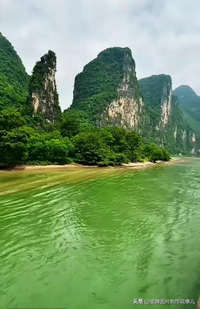 特宝生物孙黎:生物医药发展的底层是对疾病和技术系统化的理解