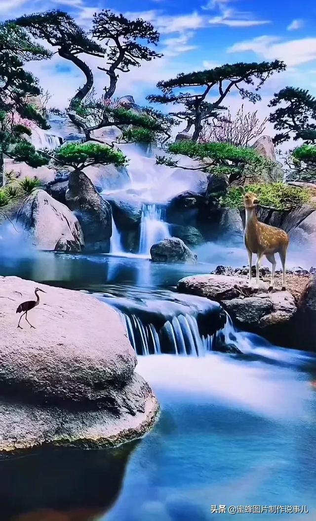 观察者