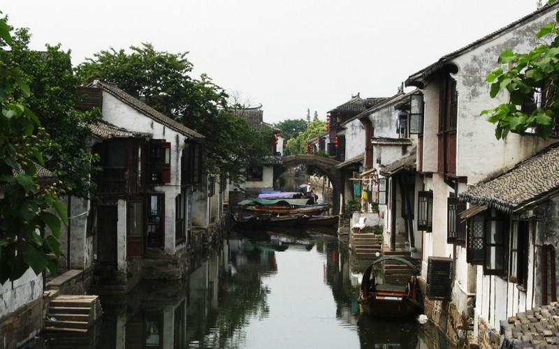 除虫大师