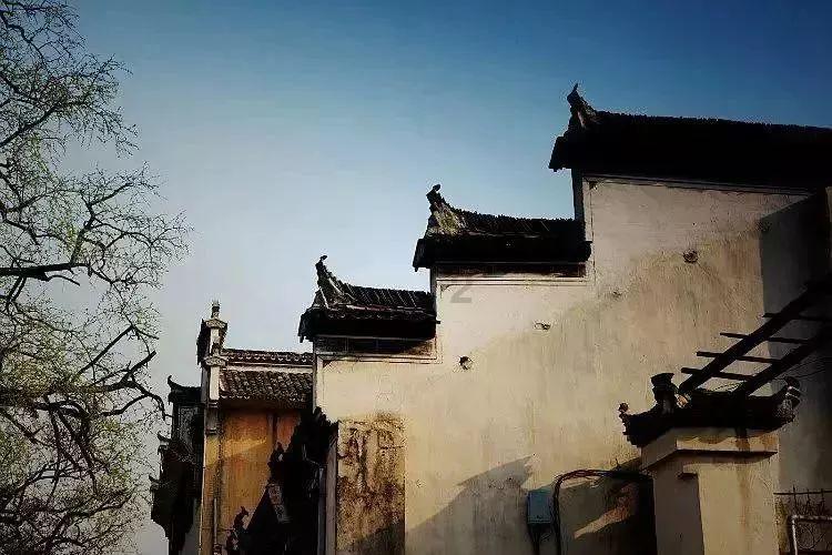 成功男人的标配 成功男人应该开什么车游戏画面