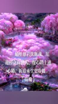 一加12已经开始预订,2月6日发货